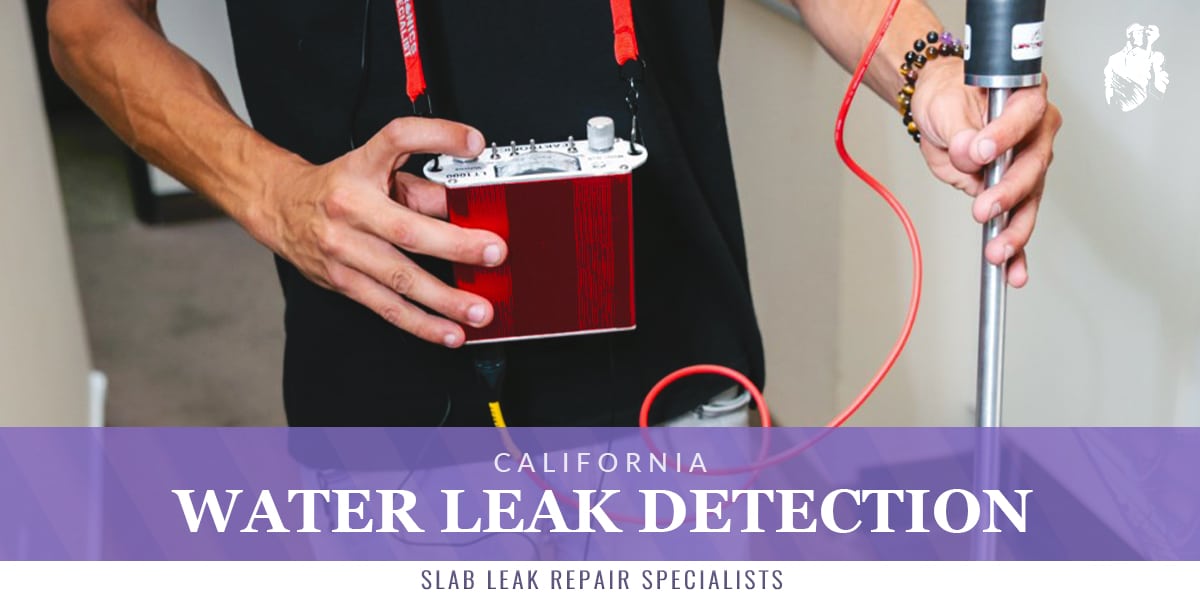 California Water Leak Detection Integrity Repipe