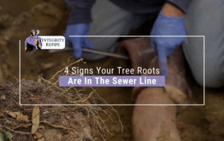 Tree roots invading sewer pipes in California